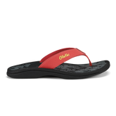 ‘Ohana - Red Acacia / Script